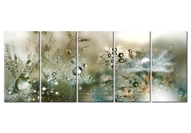Canvas Fluffy Dandelions (5-piece) - Flowers with Water Droplets in Greenery