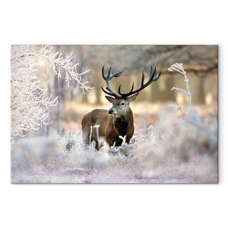 Canvas Deer in the Cold