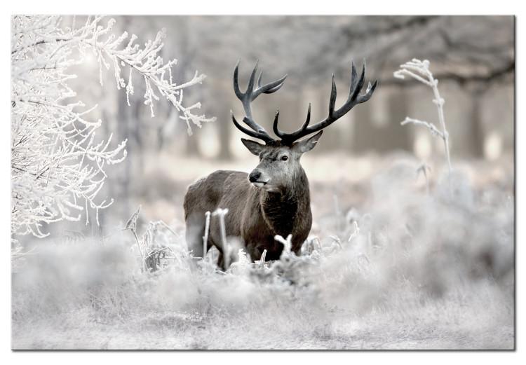Canvas Lonely Deer