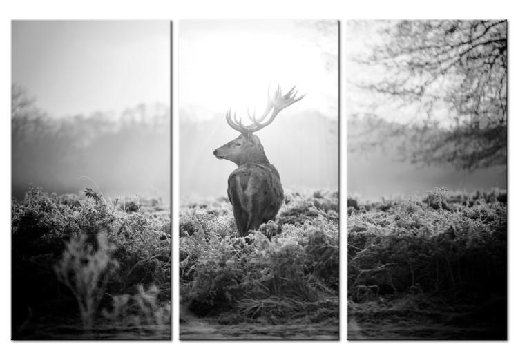 Canvas Deer in Nostalgia (3-piece) - Black and White Stag Figure in Field