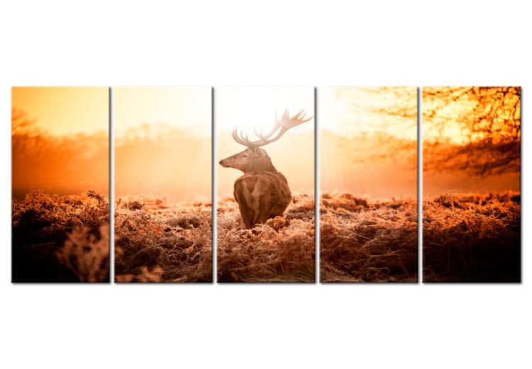 Canvas Stag at Sunset (5-piece) - Forest Animal in the Middle of Field