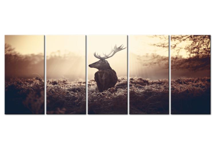 Canvas Stag in the Wilderness (5-piece) - Deer amidst Beige Field Grass