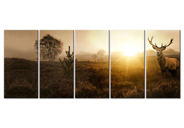 Canvas Morning Fields (5-piece) - Deer amidst Grass and Distant Trees