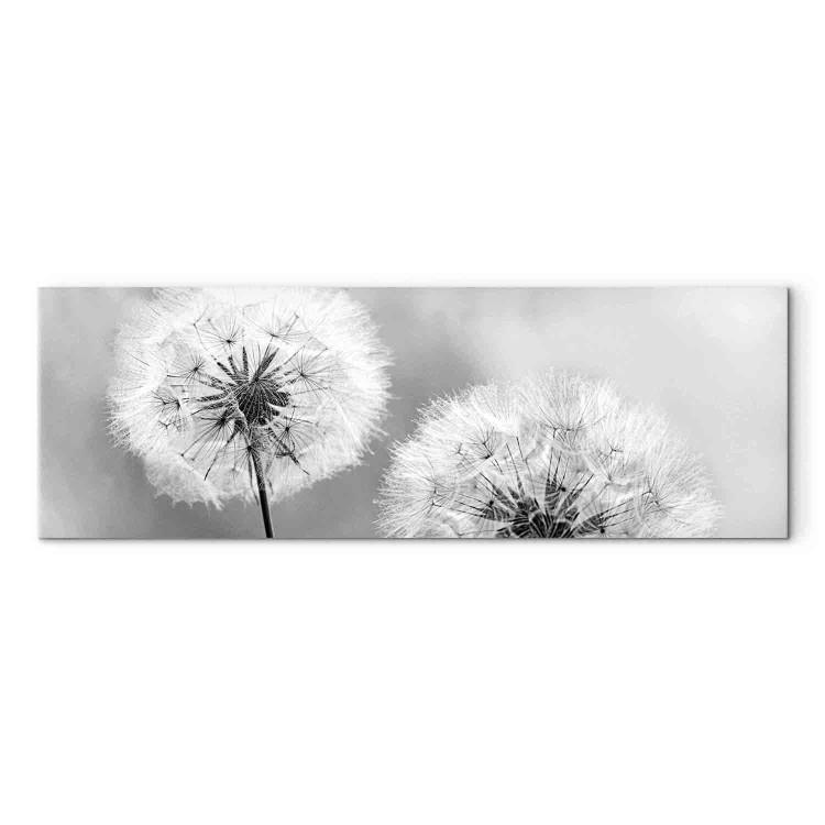 Canvas Summer Memories (1-piece) - Black and White Romantic Dandelions