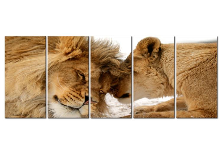 Canvas Lion Love (5-piece) - Romantic Kiss of Wild Cats