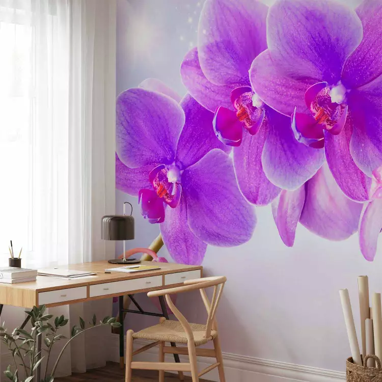 Wall Mural Purple orchids - floral motif on a background with ...