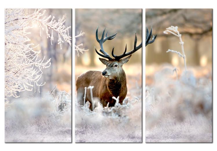 Canvas Deer in the Cold I