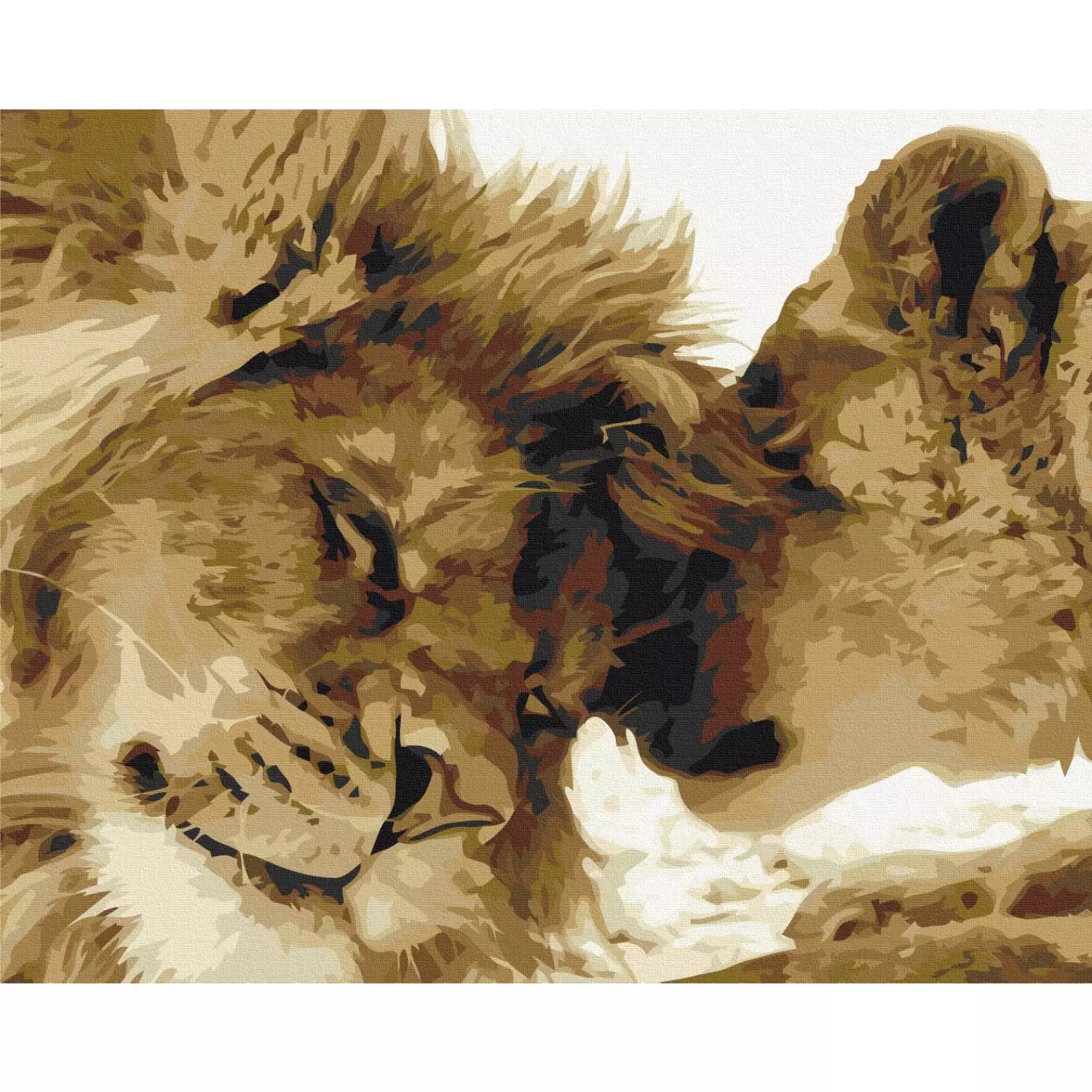 Paint by number Lions In Love