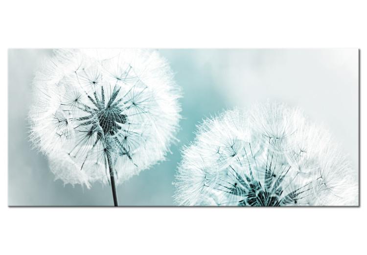 Canvas Fluffy Dandelions (1-part) Wide - White Flowers on a Light Background