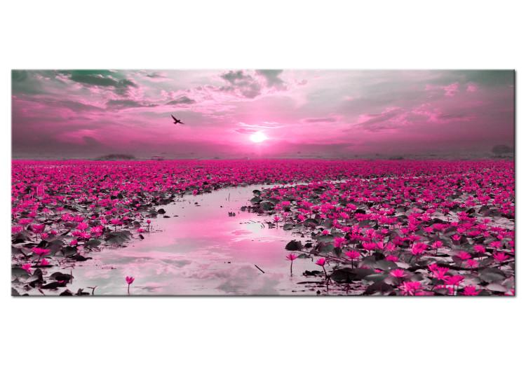Canvas Lilies and Sunset (1-part) Wide - Landscape of Flower Field