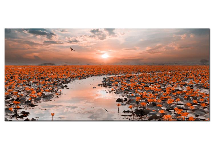 Canvas Lily Path (1-part) Wide - Lilies against Sunset