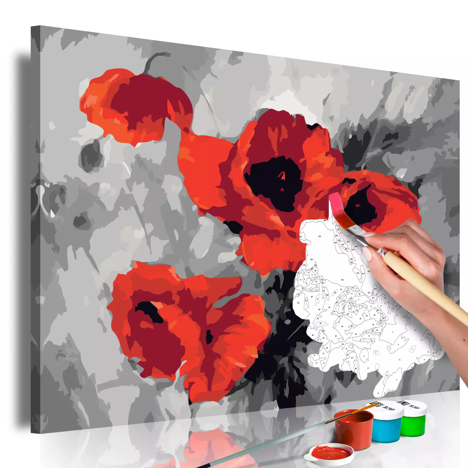 Paint by number Bouquet of Poppies