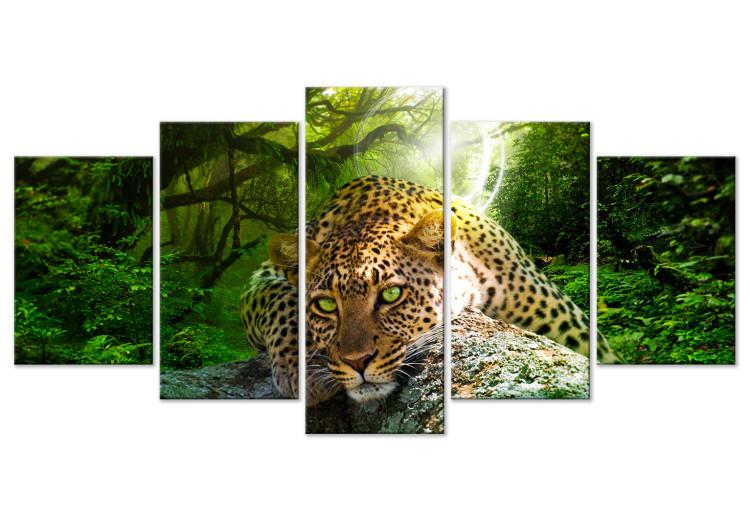 Canvas Lying Leopard (5-part) Wide Green - Wild Cat in Forest Background