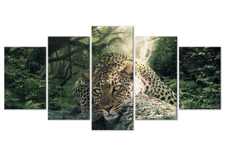 Canvas Lying Leopard (5-part) Wide Pale Green - Wild Cat in the Forest