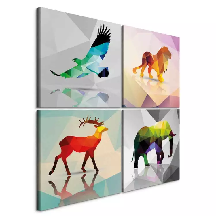 Colourful Animals (4 Parts)
