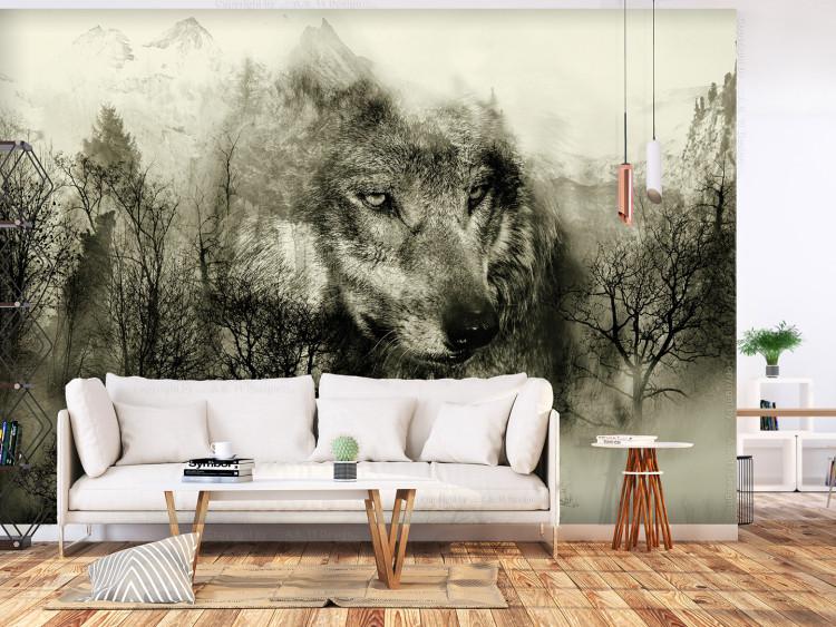 Wall Mural Predator from the mountains - wolf among forest trees in the mountains in grey