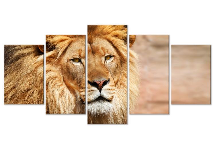 Canvas Lion King (5-part) Wide Orange - Exotic Lion