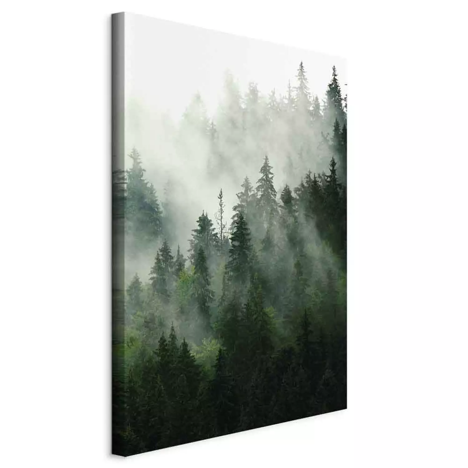 Canvas Print Coniferous Forest Vertical