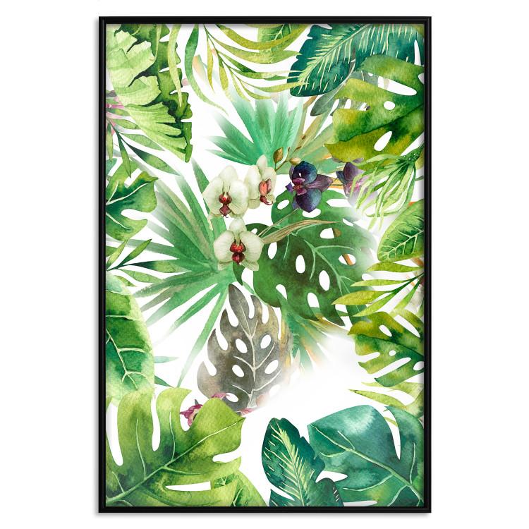 Poster Tropical Shade - botanical composition with leaves of tropical plants