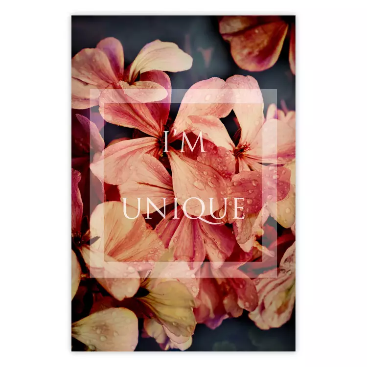 Poster I'm unique - English text on a background of colorful flower petals