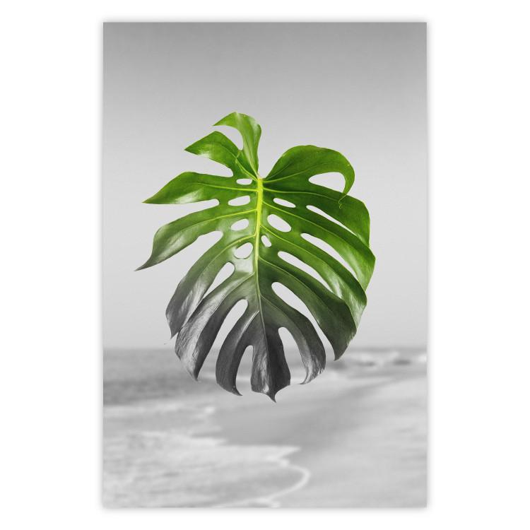 Poster Monstera Leaf - Green tropical plant and gray seaside landscape