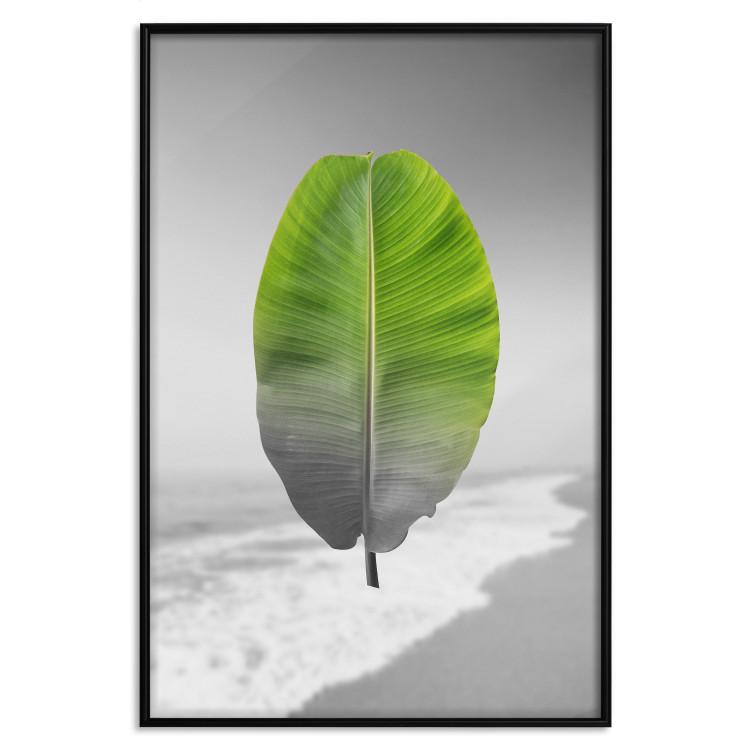 Poster Banana Leaf - Green tropical plant on a gray landscape