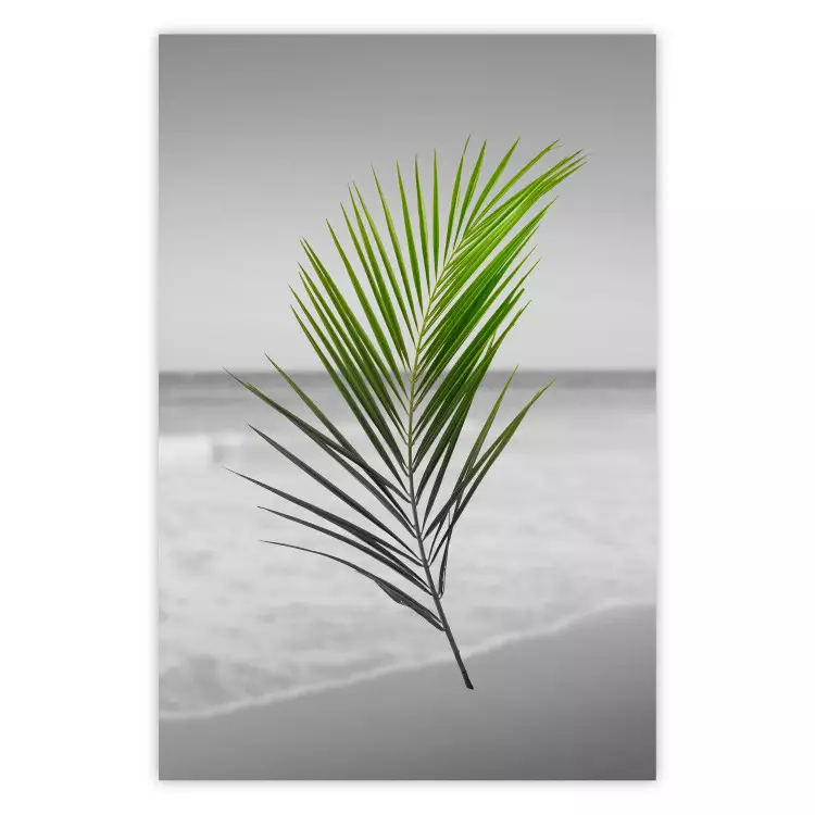 Poster Green Palm Branch - Tropical plant and sea with beach in the background