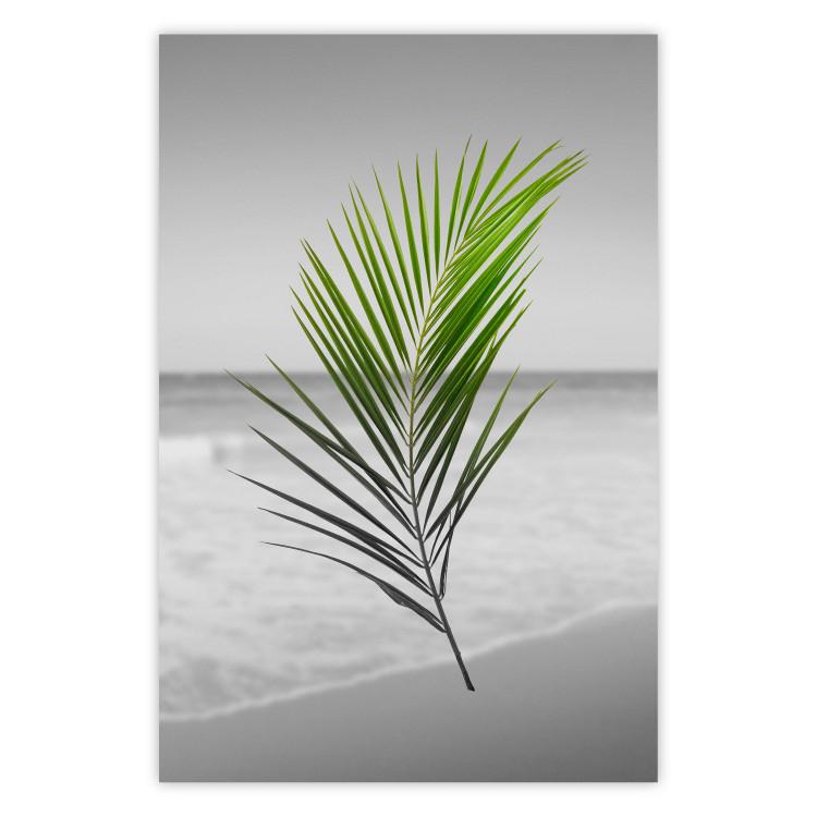Poster Green Palm Branch - Tropical plant and sea with beach in the background