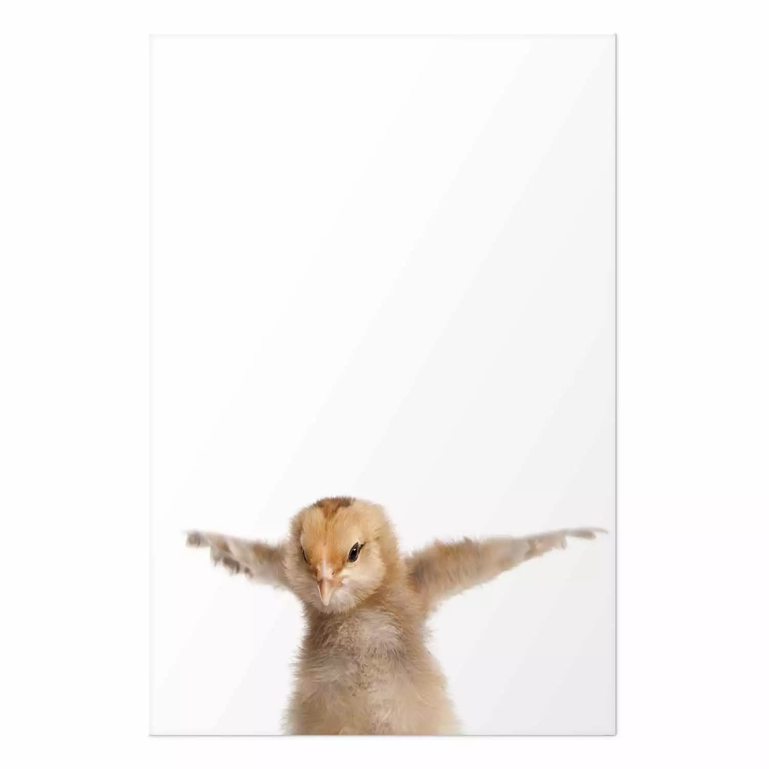 Poster Chick - composition for children with a young bird spreading its wings