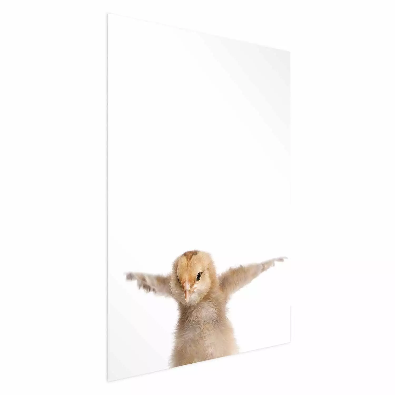 Poster Chick - composition for children with a young bird spreading its wings