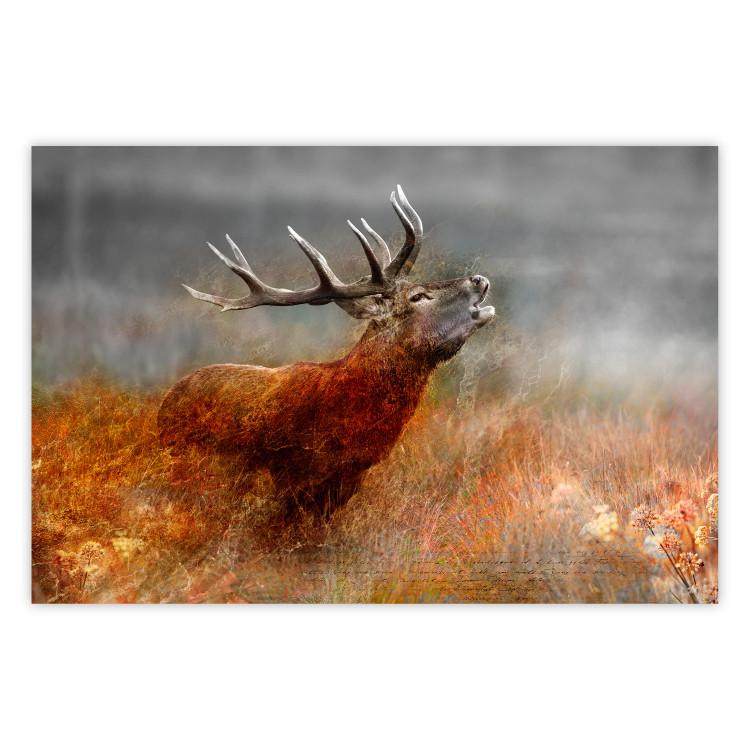 Poster Roaring Deer - woodland animal against an autumnal field landscape