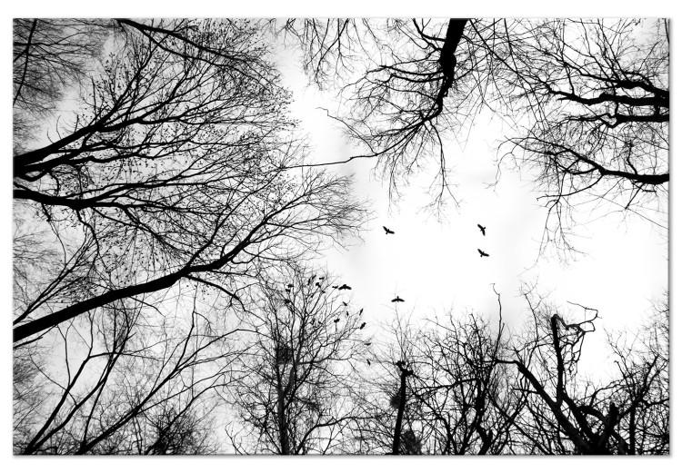 Canvas Winter Birds' Sky (1-part) - Black and White Landscape of Nature