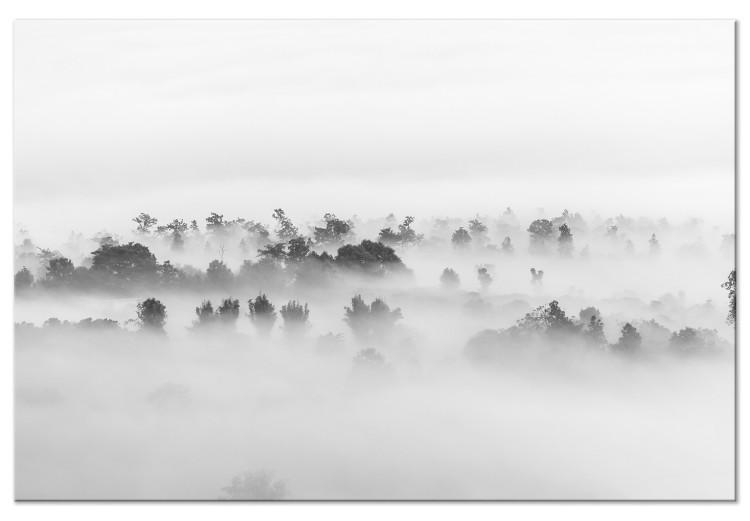 Canvas Misty Forest Landscape (1-part) - Trees Veiled Under White Curtain