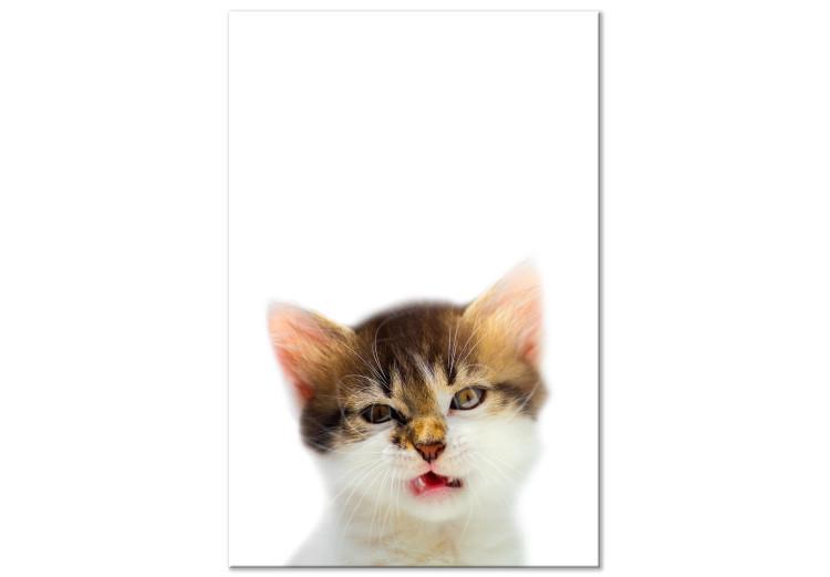 Canvas Cat Style (1-part) - Domestic Animal with a Touch of Wildness in Focus