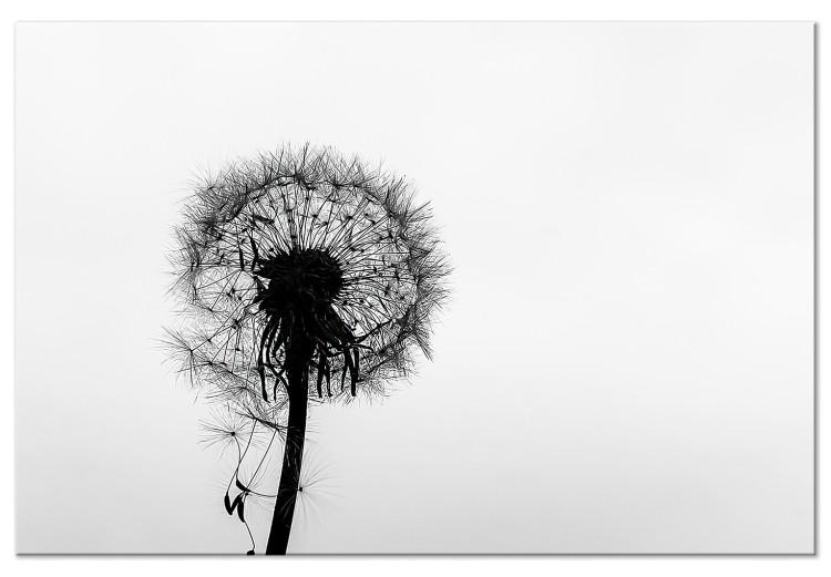 Canvas Nature's Lightness (1-part) - Dandelion Flower in Black and White