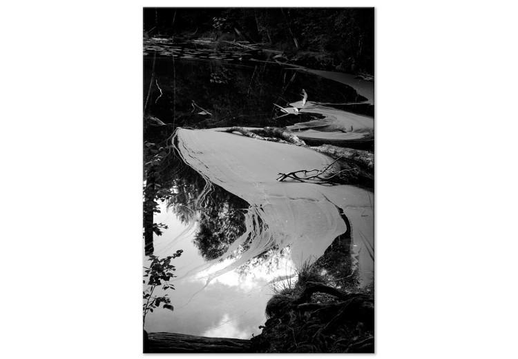 Canvas Pond - Dark Water Landscape on Black and White Photo