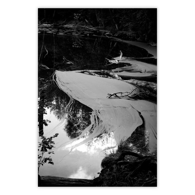 Poster Pond - black and white landscape of a calm lake surface with gray streaks