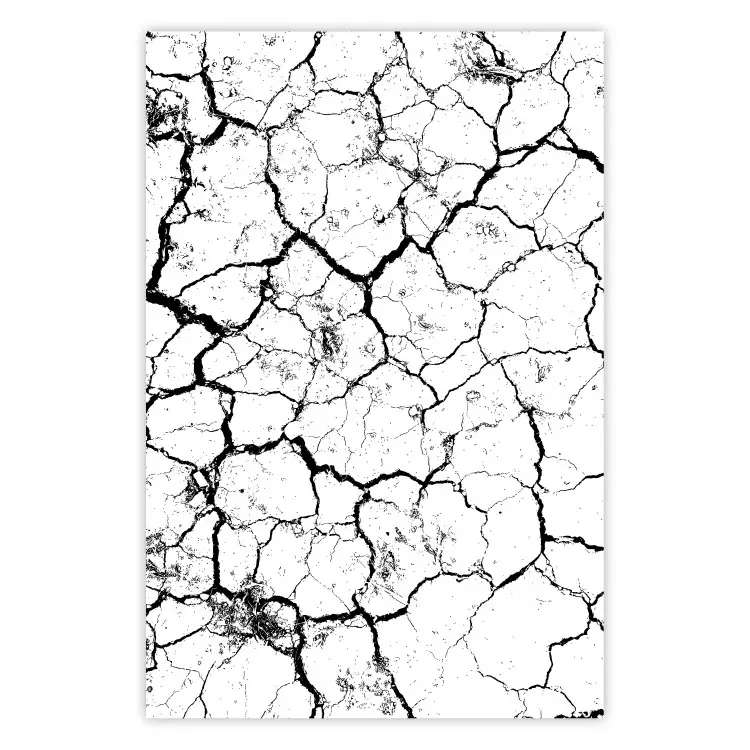 Poster Cracked earth - black and white composition with irregular texture