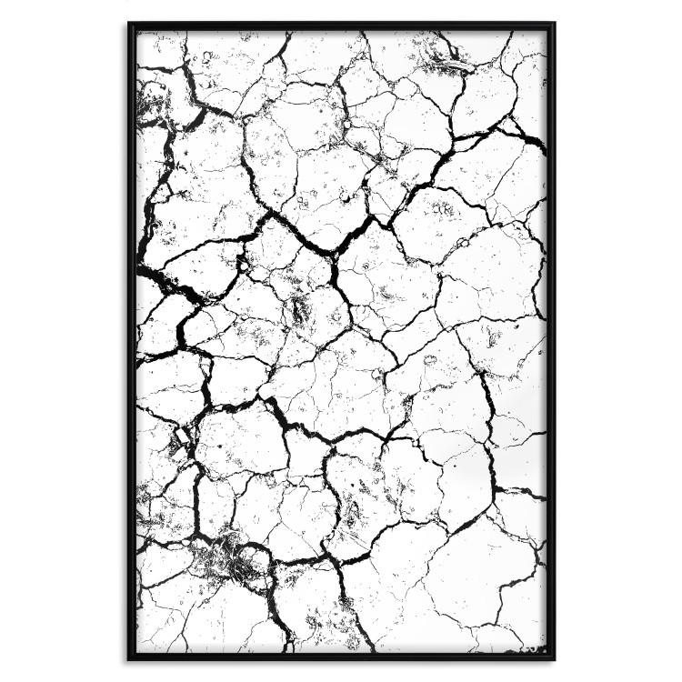 Poster Cracked earth - black and white composition with irregular texture