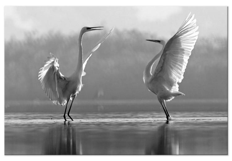 Canvas Birds' Love Dance (1-part) - White Swans Reflected in Water