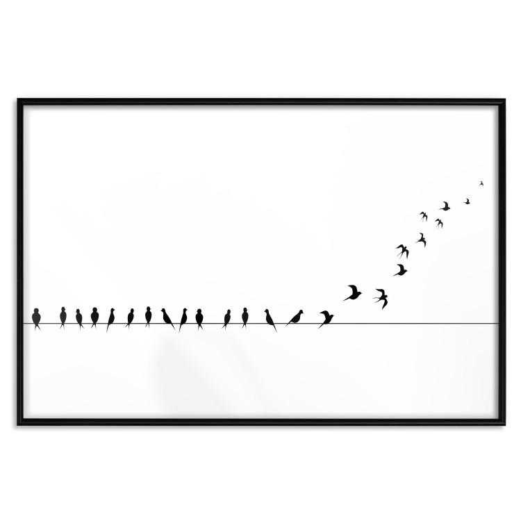 Poster Let's Fly! - black and white composition with sitting and flying birds