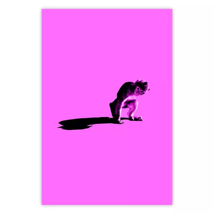 Poster Little Monkey - looking down animal on a pink background
