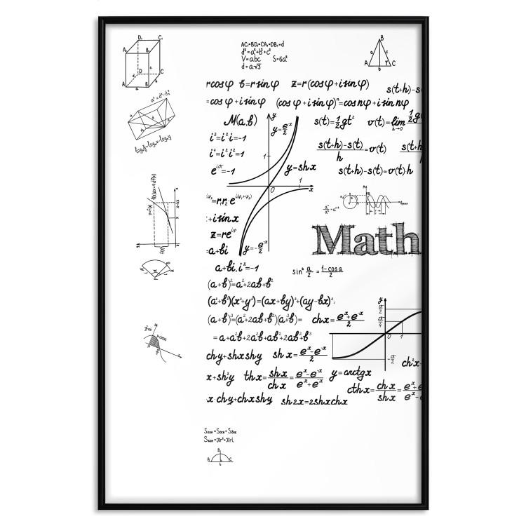 Poster Mathematics - black and white mathematical equations and geometric figures