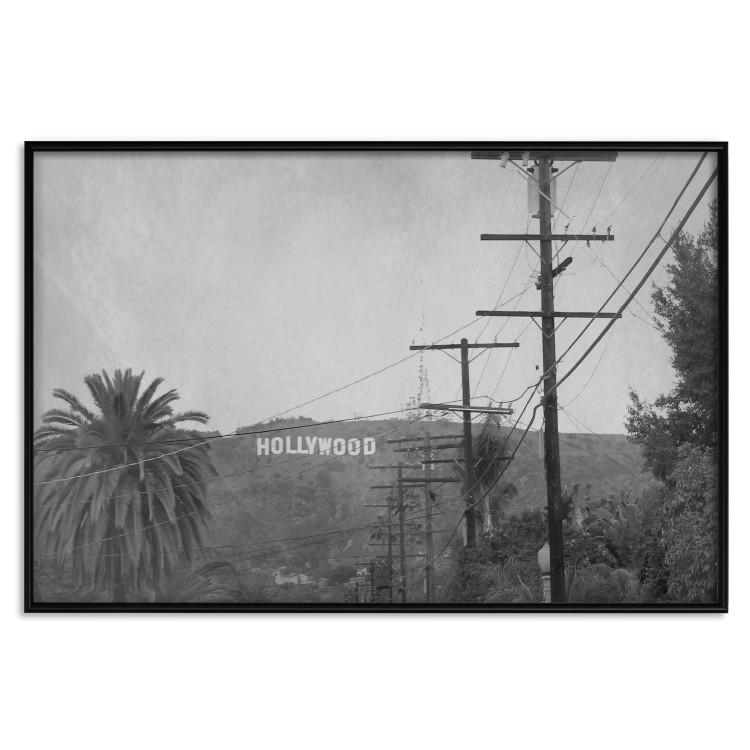 Poster Hollywood - black and white cinematic shot among trees overlooking mountains