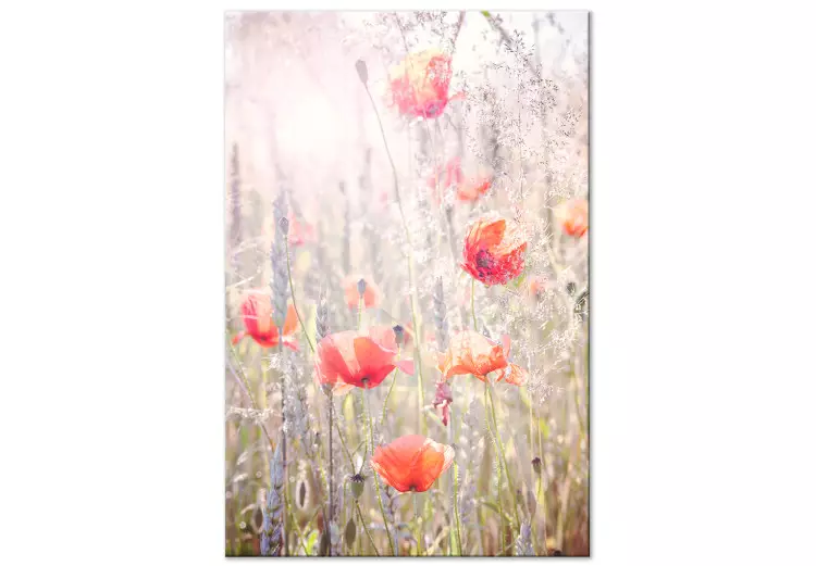 Canvas Colors of Spring (1-part) - Blooming Poppies in Flowery Meadow