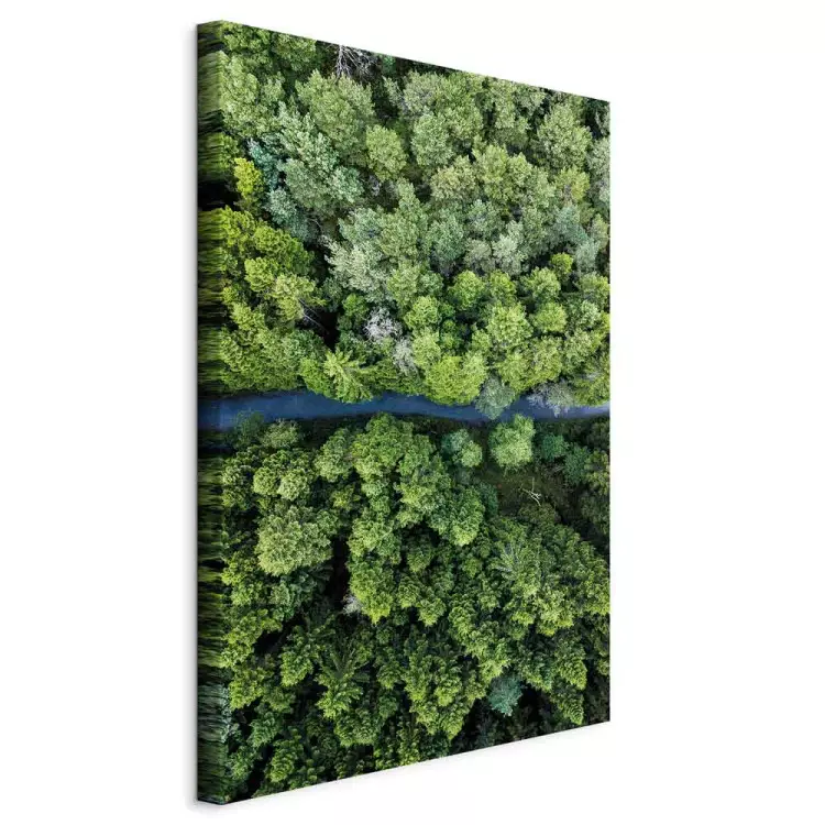 Road Through Forest (1 Part) Vertical