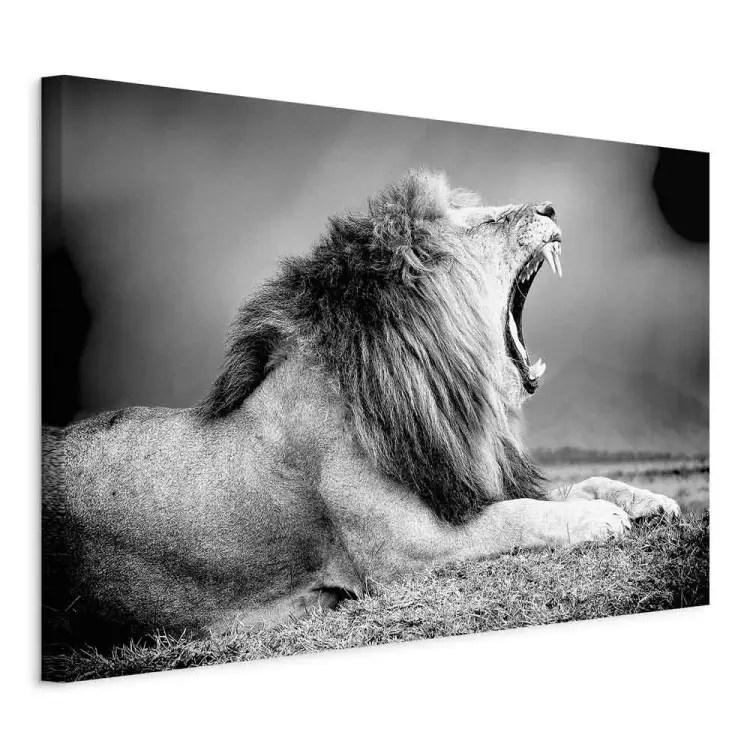 Strength of Lion's Roar (1-part) - Predatory Animal in Black and White