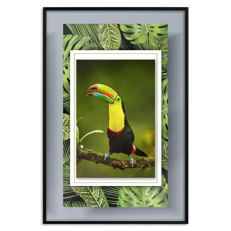 Poster Toucan - colorful bird sitting on a branch among tropical leaves