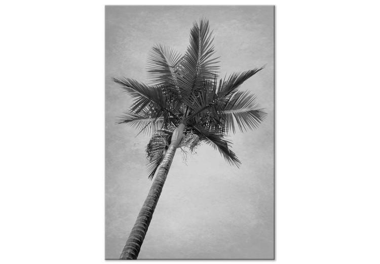 Canvas Under a palm tree - black and white photograph of a palm on the sky
