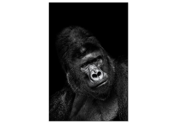 Canvas Gorilla (1 Part) Vertical